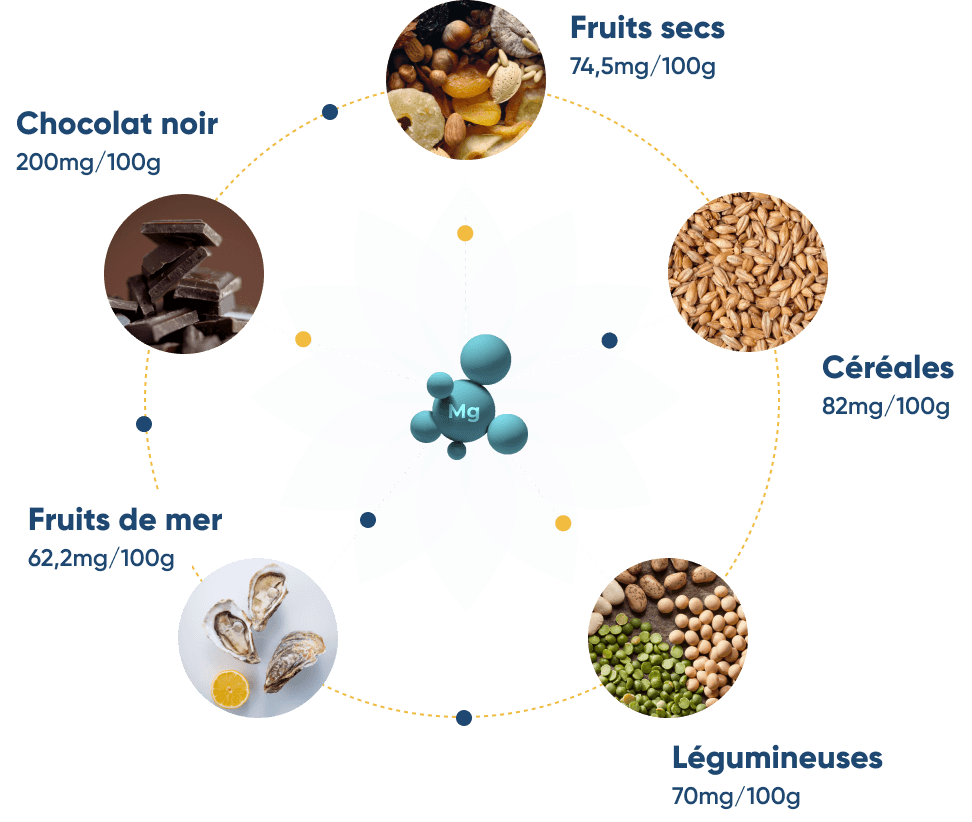 infographie montrant que l'on retrouve le magnésium dans notre alimentation quotidienne, fruits sec 74,5mg/100g, céréales 82mg/100g, légumineuse 70mg/100g, fruits de mer 62,2mg/100g, chocolat noir 200mg/100g